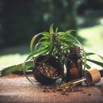 Finding quality and affordability in THC, THCA, and CBD online wellness products